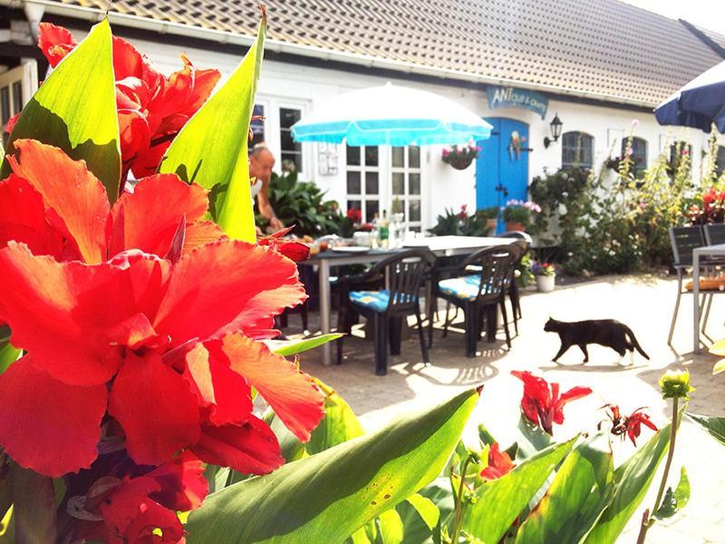 Myrehoj Bed & Breakfast Eskebjerg Kültér fotó